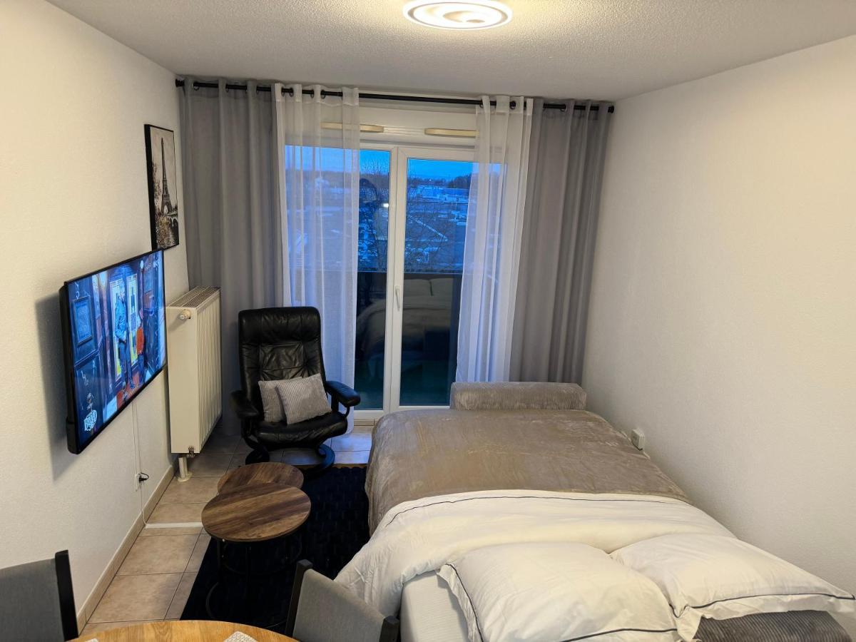 Appartement Calme Avec Balcon, A 4Km Du Centre, Parking, Wi-Fi, Netflix Gratuit Strazburg Dış mekan fotoğraf
