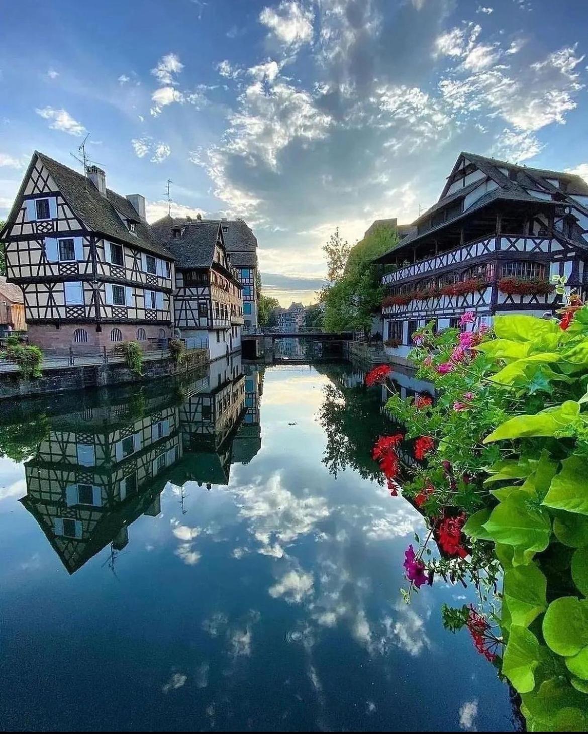Appartement Calme Avec Balcon, A 4Km Du Centre, Parking, Wi-Fi, Netflix Gratuit Strazburg Dış mekan fotoğraf
